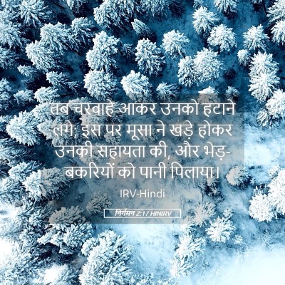 Picture 05 - निर्गमन 2:17 HINIRV - तब चरवाहे आकर उनको - Bible Verse Picture