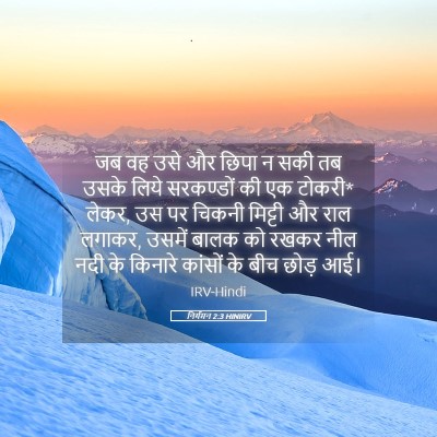 Picture 05 - निर्गमन 2:3 HINIRV - जब वह उसे और छिपा न - Bible Verse Picture