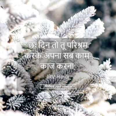 Picture 05 - निर्गमन 20:9 HINIRV - छः दिन तो तू - Bible Verse Picture