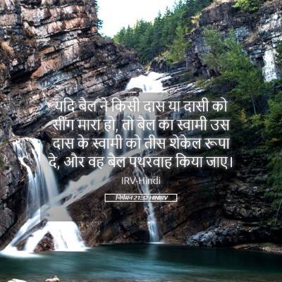 Picture 05 - निर्गमन 21:32 HINIRV - यदि बैल ने किसी दास - Bible Verse Picture