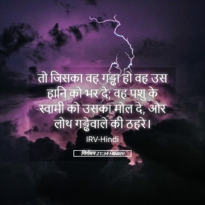 Picture 05 - निर्गमन 21:34 HINIRV - तो जिसका वह गड्ढा - Bible Verse Picture