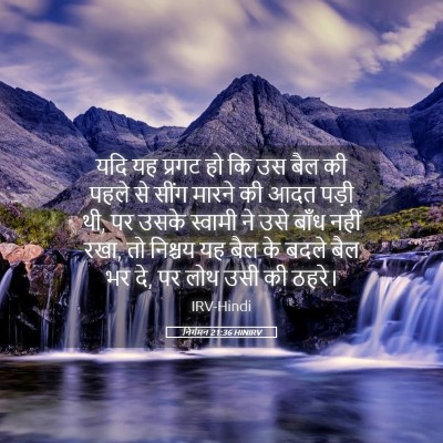 Picture 05 - निर्गमन 21:36 HINIRV - यदि यह प्रगट हो कि - Bible Verse Picture