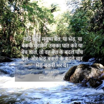 Picture 05 - निर्गमन 22:1 HINIRV - “यदि कोई मनुष्य - Bible Verse Picture