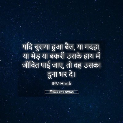 Picture 05 - निर्गमन 22:4 HINIRV - यदि चुराया हुआ बैल, - Bible Verse Picture