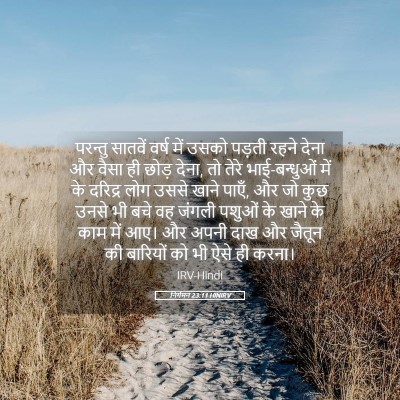 Picture 05 - निर्गमन 23:11 HINIRV - परन्तु सातवें - Bible Verse Picture