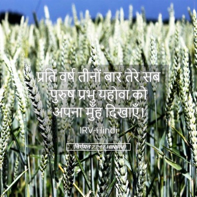 Picture 05 - निर्गमन 23:17 HINIRV - प्रति वर्ष तीनों - Bible Verse Picture