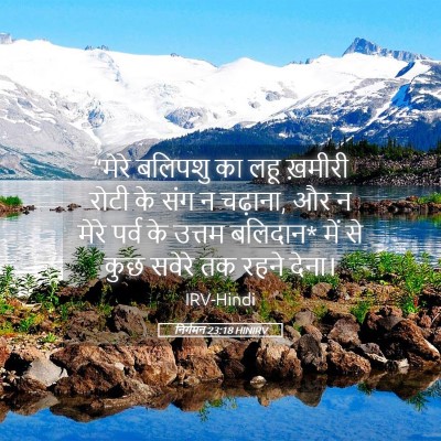 Picture 05 - निर्गमन 23:18 HINIRV - “मेरे बलिपशु का - Bible Verse Picture