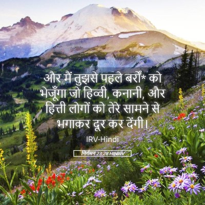 Picture 05 - निर्गमन 23:28 HINIRV - और मैं तुझसे पहले - Bible Verse Picture