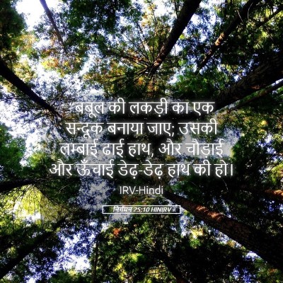 Picture 05 - निर्गमन 25:10 HINIRV - “बबूल की लकड़ी का - Bible Verse Picture