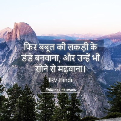 Picture 05 - निर्गमन 25:13 HINIRV - फिर बबूल की लकड़ी - Bible Verse Picture
