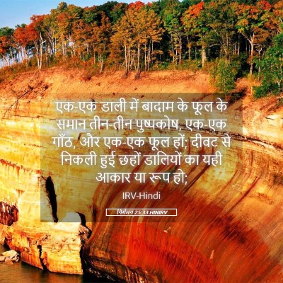 Picture 05 - निर्गमन 25:33 HINIRV - एक-एक डाली में - Bible Verse Picture