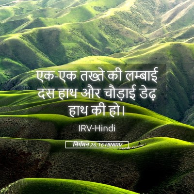 Picture 05 - निर्गमन 26:16 HINIRV - एक-एक तख्ते की - Bible Verse Picture