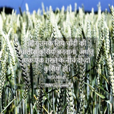 Picture 05 - निर्गमन 26:21 HINIRV - और उनके लिये चाँदी - Bible Verse Picture