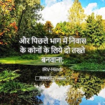 Picture 05 - निर्गमन 26:23 HINIRV - और पिछले भाग में - Bible Verse Picture
