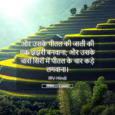Picture 05 - निर्गमन 27:4 HINIRV - और उसके पीतल की - Bible Verse Picture