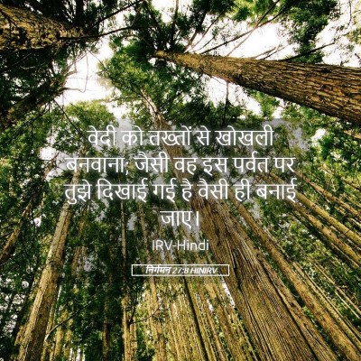 Picture 05 - निर्गमन 27:8 HINIRV - वेदी को तख्तों से - Bible Verse Picture
