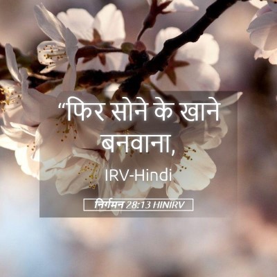 Picture 05 - निर्गमन 28:13 HINIRV - “फिर सोने के खाने - Bible Verse Picture