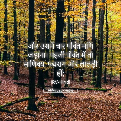 Picture 05 - निर्गमन 28:17 HINIRV - और उसमें चार - Bible Verse Picture