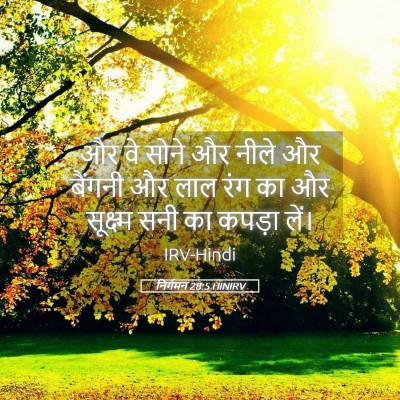Picture 05 - निर्गमन 28:5 HINIRV - और वे सोने और नीले - Bible Verse Picture
