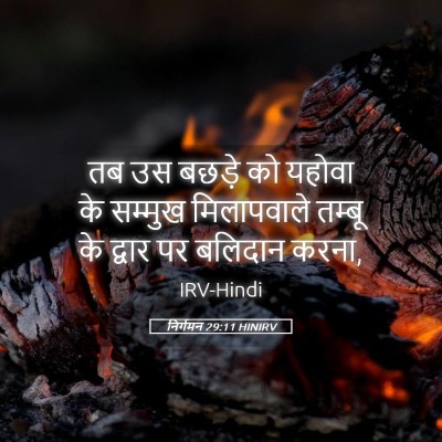 Picture 05 - निर्गमन 29:11 HINIRV - तब उस बछड़े को - Bible Verse Picture