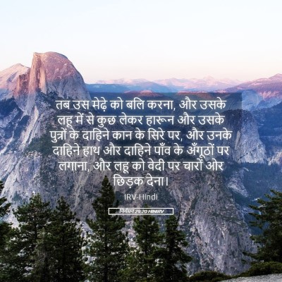 Picture 05 - निर्गमन 29:20 HINIRV - तब उस मेढ़े को बलि - Bible Verse Picture