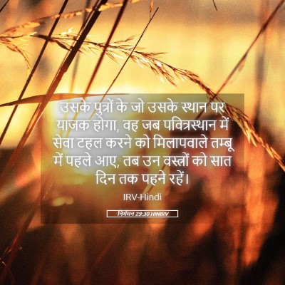 Picture 05 - निर्गमन 29:30 HINIRV - उसके पुत्रों के जो - Bible Verse Picture