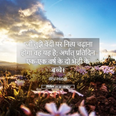 Picture 05 - निर्गमन 29:38 HINIRV - “जो तुझे वेदी पर - Bible Verse Picture