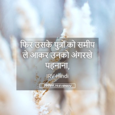 Picture 05 - निर्गमन 29:8 HINIRV - फिर उसके पुत्रों - Bible Verse Picture