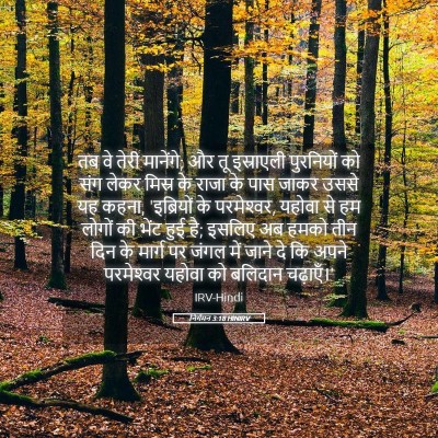 Picture 05 - निर्गमन 3:18 HINIRV - तब वे तेरी मानेंगे; - Bible Verse Picture