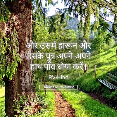 Picture 05 - निर्गमन 30:19 HINIRV - और उसमें हारून और - Bible Verse Picture