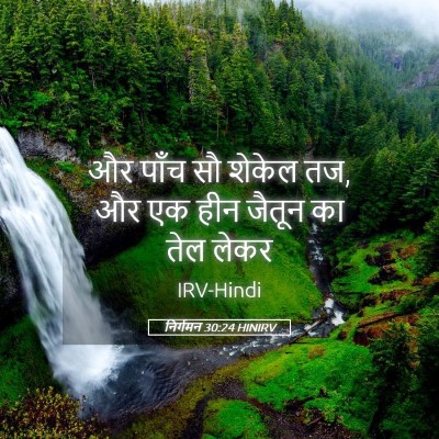 Picture 05 - निर्गमन 30:24 HINIRV - और पाँच सौ शेकेल - Bible Verse Picture