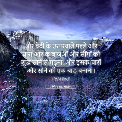 Picture 05 - निर्गमन 30:3 HINIRV - और वेदी के ऊपरवाले - Bible Verse Picture