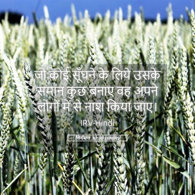 Picture 05 - निर्गमन 30:38 HINIRV - जो कोई सूँघने के - Bible Verse Picture
