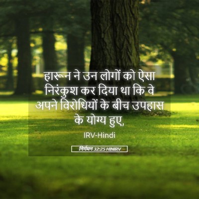 Picture 05 - निर्गमन 32:25 HINIRV - हारून ने उन लोगों - Bible Verse Picture