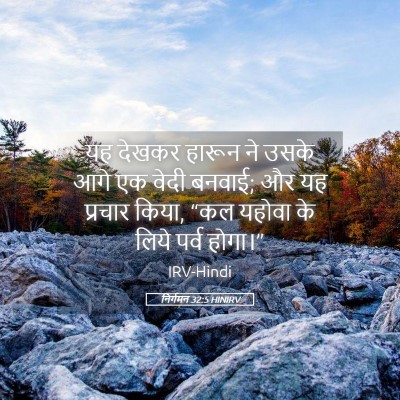 Picture 05 - निर्गमन 32:5 HINIRV - यह देखकर हारून ने - Bible Verse Picture