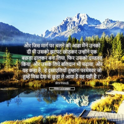 Picture 05 - निर्गमन 32:8 HINIRV - और जिस मार्ग पर - Bible Verse Picture