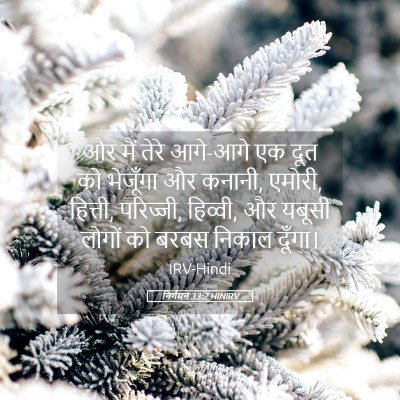 Picture 05 - निर्गमन 33:2 HINIRV - और मैं तेरे आगे-आगे - Bible Verse Picture
