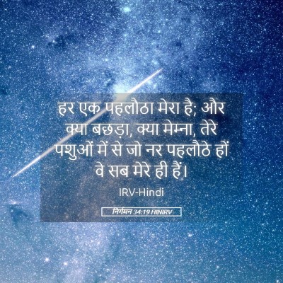 Picture 05 - निर्गमन 34:19 HINIRV - हर एक पहलौठा मेरा - Bible Verse Picture