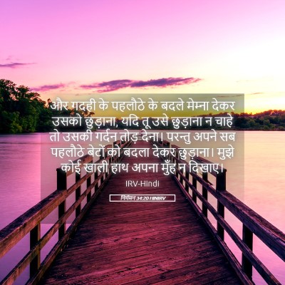 Picture 05 - निर्गमन 34:20 HINIRV - और गदही के पहलौठे - Bible Verse Picture
