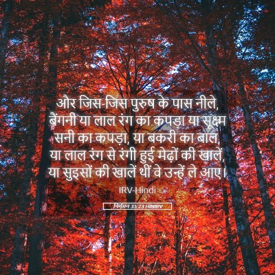 Picture 05 - निर्गमन 35:23 HINIRV - और जिस-जिस पुरुष के - Bible Verse Picture