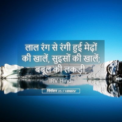 Picture 05 - निर्गमन 35:7 HINIRV - लाल रंग से रंगी हुई - Bible Verse Picture