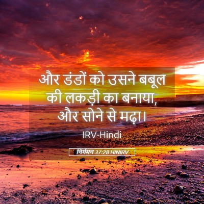 Picture 05 - निर्गमन 37:28 HINIRV - और डंडों को उसने - Bible Verse Picture