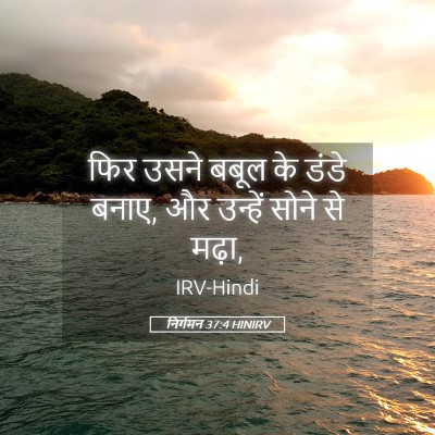 Picture 05 - निर्गमन 37:4 HINIRV - फिर उसने बबूल के - Bible Verse Picture