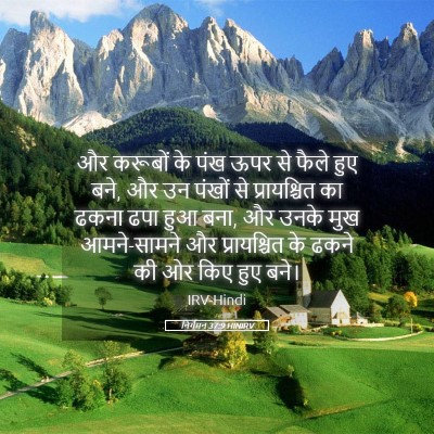 Picture 05 - निर्गमन 37:9 HINIRV - और करूबों के पंख - Bible Verse Picture