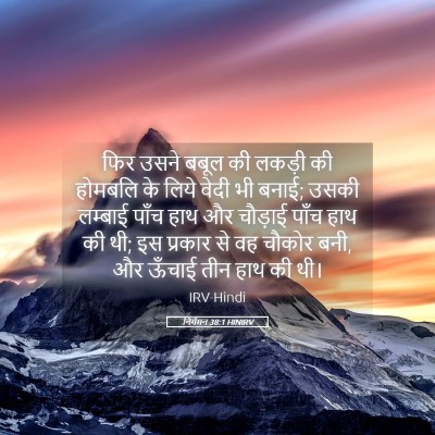 Picture 05 - निर्गमन 38:1 HINIRV - फिर उसने बबूल की - Bible Verse Picture