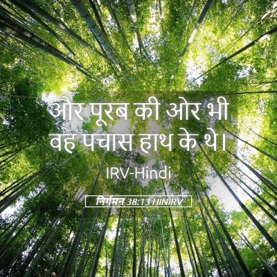 Picture 05 - निर्गमन 38:13 HINIRV - और पूरब की ओर भी वह - Bible Verse Picture