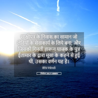Picture 05 - निर्गमन 38:21 HINIRV - साक्षीपत्र के - Bible Verse Picture
