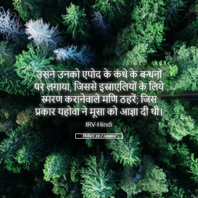 Picture 05 - निर्गमन 39:7 HINIRV - उसने उनको एपोद के - Bible Verse Picture