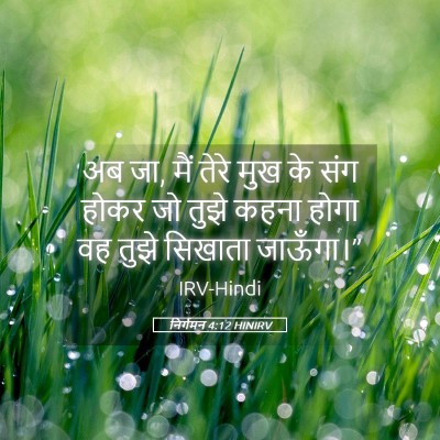 Picture 05 - निर्गमन 4:12 HINIRV - अब जा, मैं तेरे मुख - Bible Verse Picture