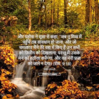 Picture 05 - निर्गमन 4:21 HINIRV - और यहोवा ने मूसा से - Bible Verse Picture